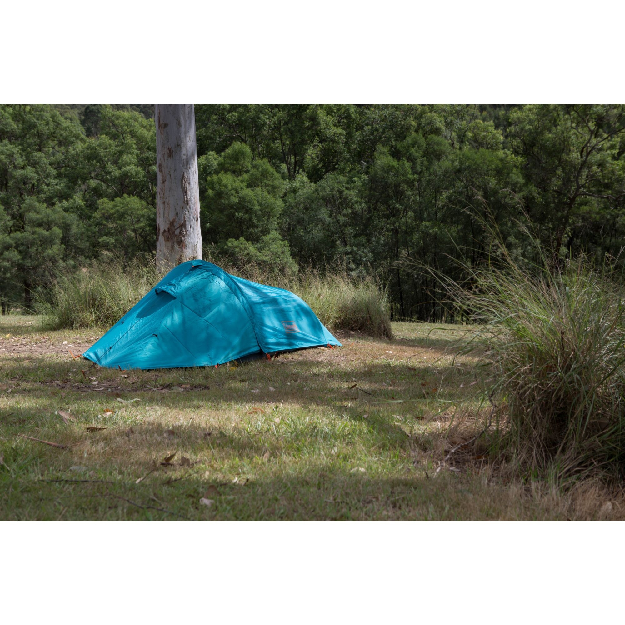 Coleman ridgeline 2p hiking tent best sale