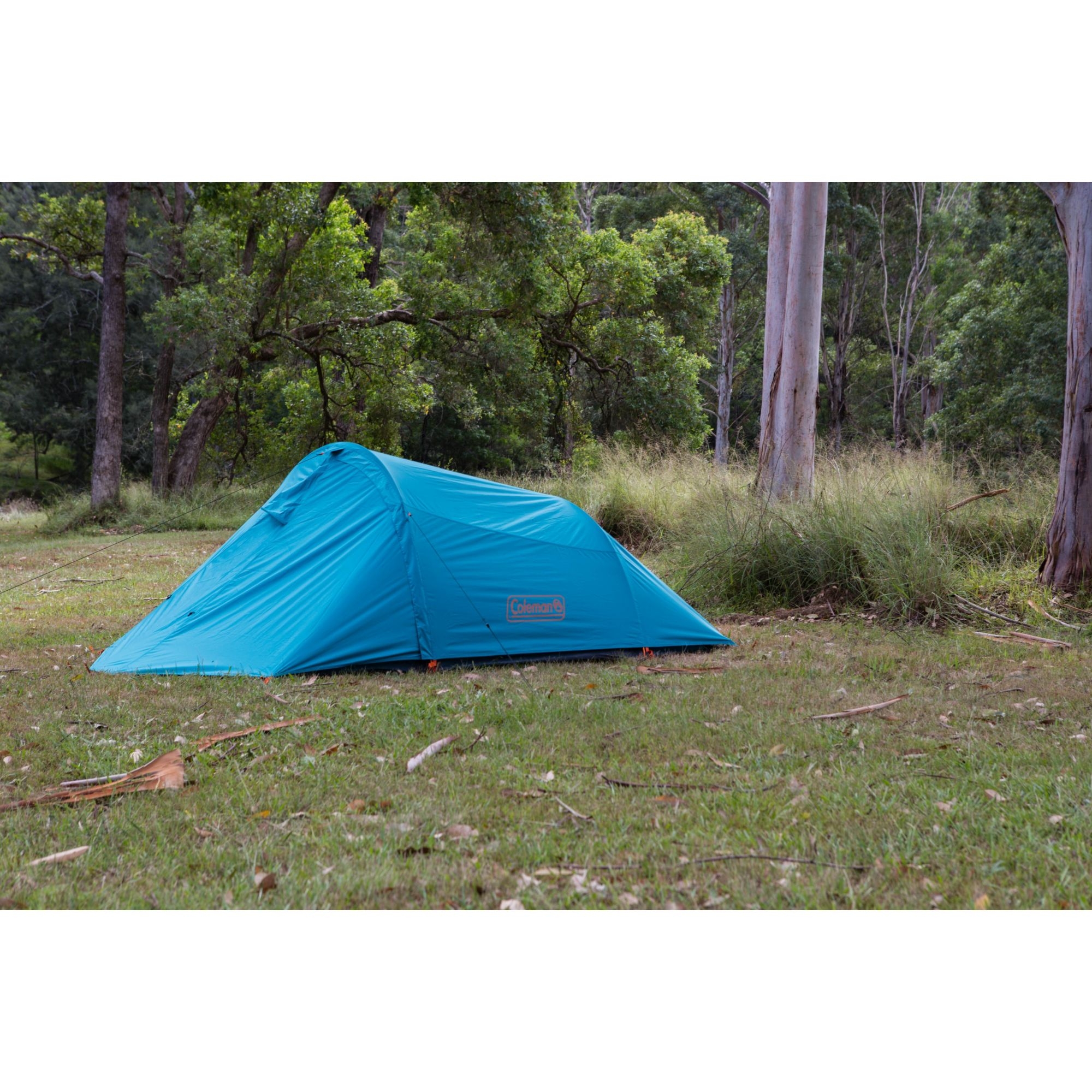 Coleman ridgeline hiking tent 3 clearance person