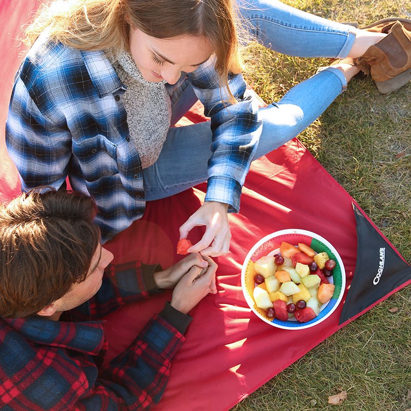 Pocket sized deals picnic blanket