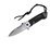 Phoenix Folding Flipper in Black by COBRA